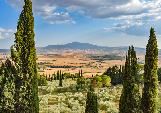 pienza travel guide