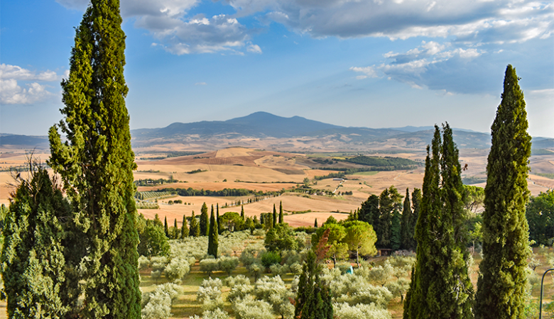 pienza travel guide